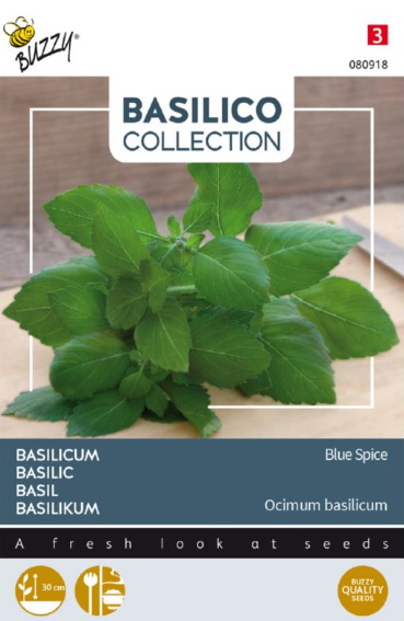 Basilikum Blue Spice (Ocimum americanum) 300 Samen